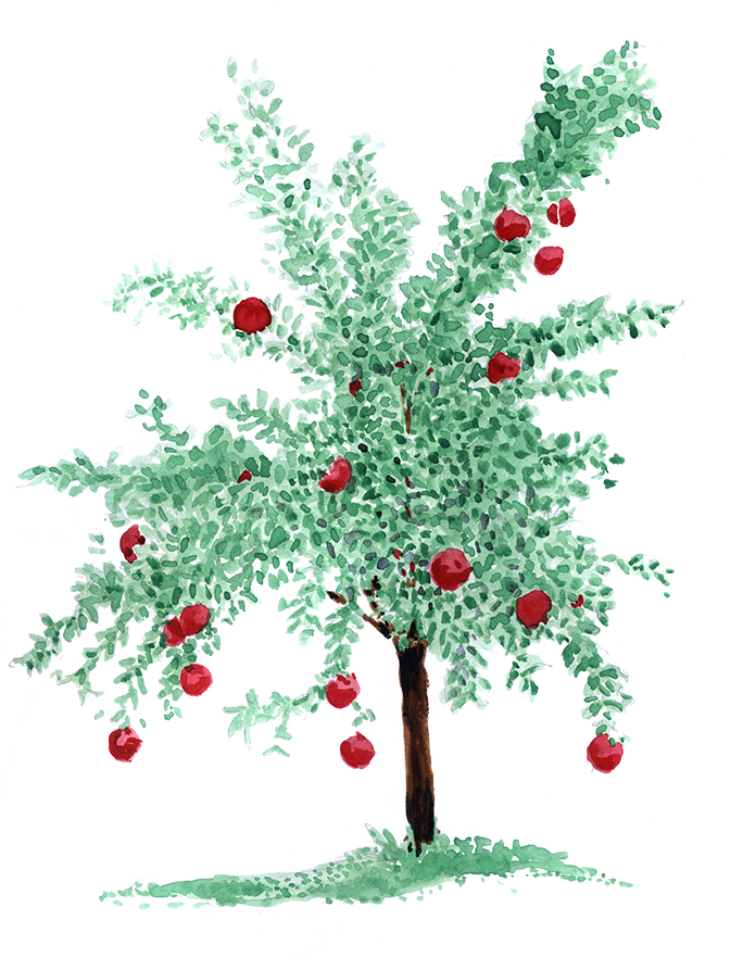 PIF LENT TREE ILLUSTRATION 003