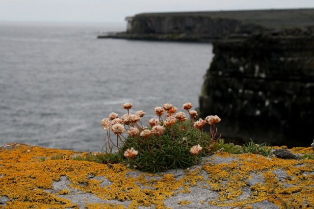 Aran Islands - June 2012