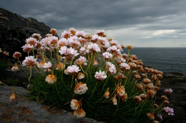 Aran Islands - June 2012